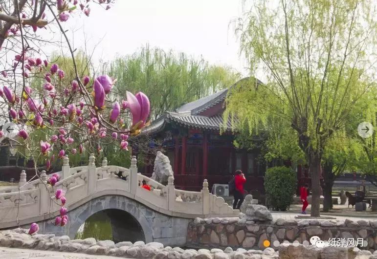 正定一日游感想,石家庄正定旅游最新攻略