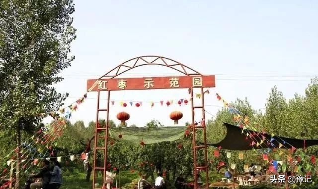 离了枣，内黄咋活？