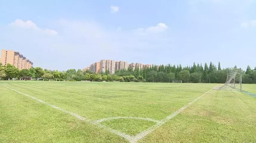 世警会双流,世警会成都宣布开幕