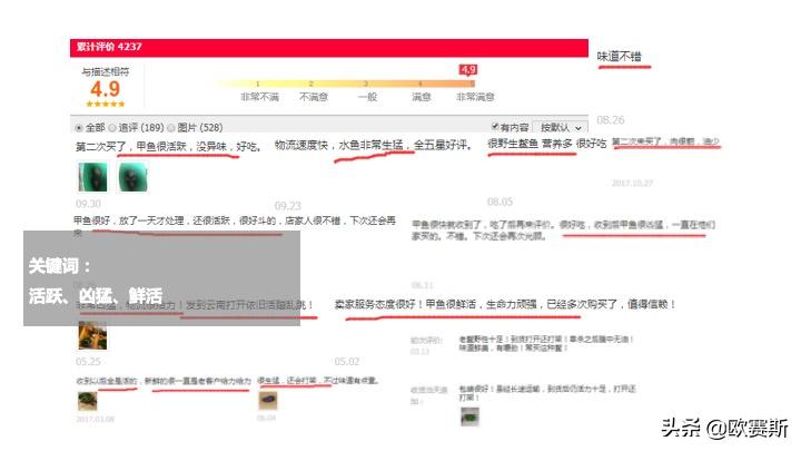 欧赛斯带你全方位洞察甲鱼市场发展趋势及竞争格局