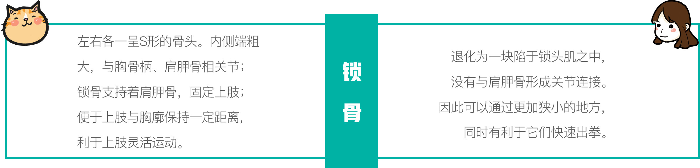 只需一个容器，你就能收获一滩“液体猫”