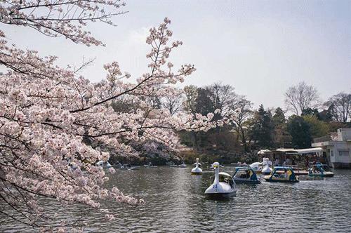 三鹰の森吉卜力宫崎骏美术馆,宫崎骏的吉卜力美术馆