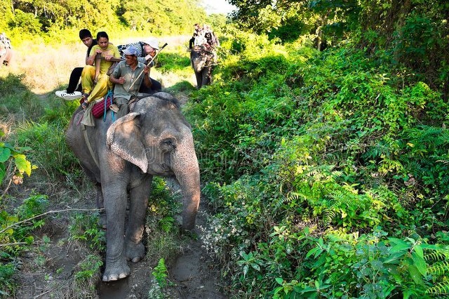尼泊尔首都哪里最好,盘点所有的尼泊尔