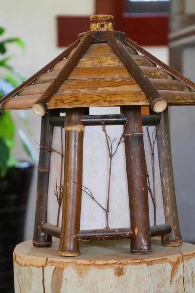 疫情过后一起来踏青吧,疫情过后一起去山花浪漫处