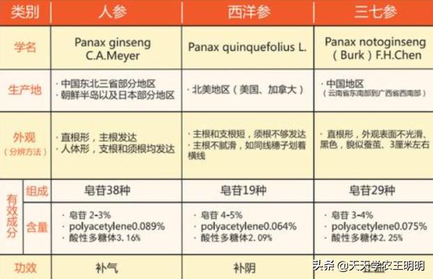三七种植的年数与价格关系如何,三七是怎么种的