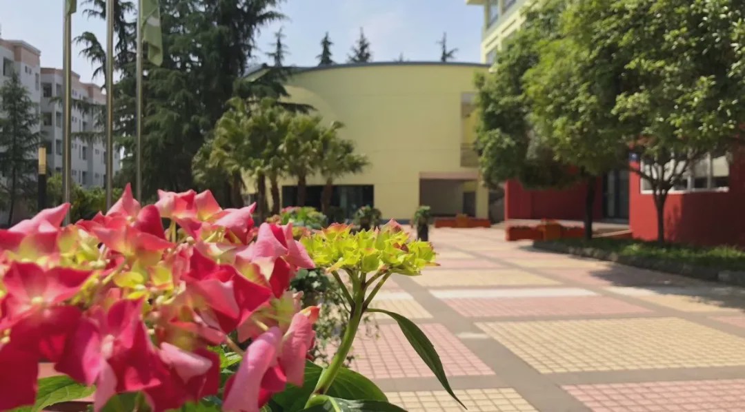 “温度”的师资，“韧度”的国际课程体系。青苗，你的不二之选