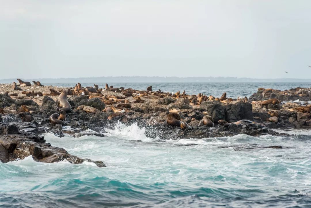 澳大利亚独特的自然风光,澳大利亚黄金海岸的美景
