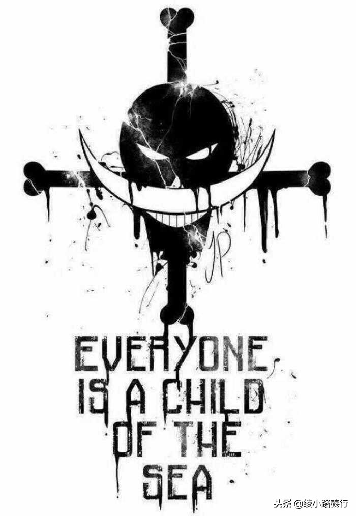 海贼王漫画名字跟动画的区别,海贼王漫画原名叫什么