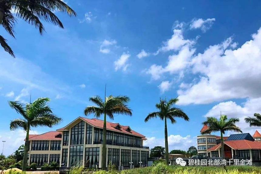 久居养生，坐享升值，碧桂园十里金滩，海景房中的潜力股