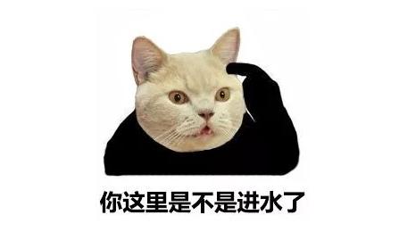 给猫绝育被人说残忍,猫咪绝育对猫咪真的好