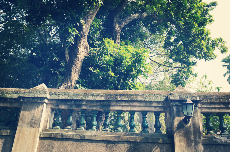 2021高考志愿填报的专业推荐,2021报考志愿哪个专业比较好