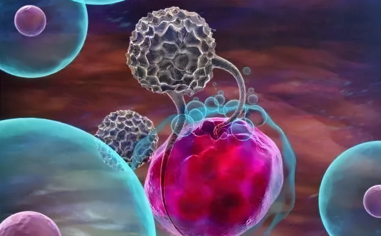 源品生物“羊膜干细胞治疗卵巢功能减退”获科技创新引领计划立项