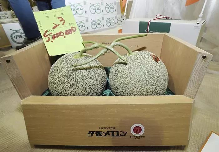 为什么韩国日本的水果很贵,日本高端水果为什么那么多