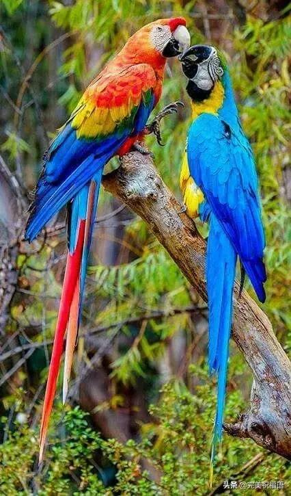 今天2.1，2月第1天，谁编的，太好笑了，给群里乐一乐~