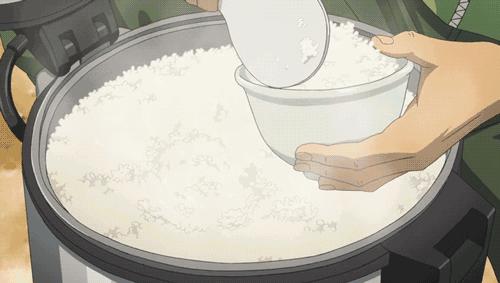 正宗五常大米黄钻稻花香米,大米推荐好吃的五常大米