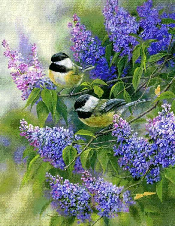 人生哲理图片带字唯美,文字动态图片大全唯美