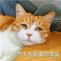 实验室趣事,实验室隐患趣味小视频