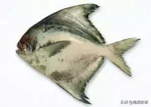 潮汕海鲜大全带图片,十大最好海鲜鱼