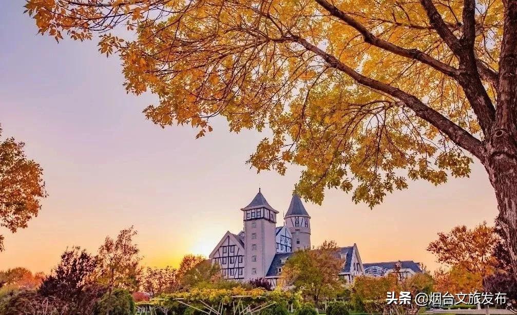 烟台张裕卡斯特酒庄值得去吗,烟台张裕卡斯特酒庄免费券