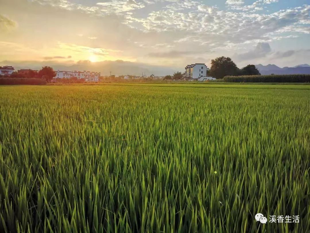 西溪南古村落惬意慢生活,徽州西溪南生活