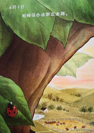 绘本蚯蚓的日记网络图,蚯蚓日记绘本完整版有多少页