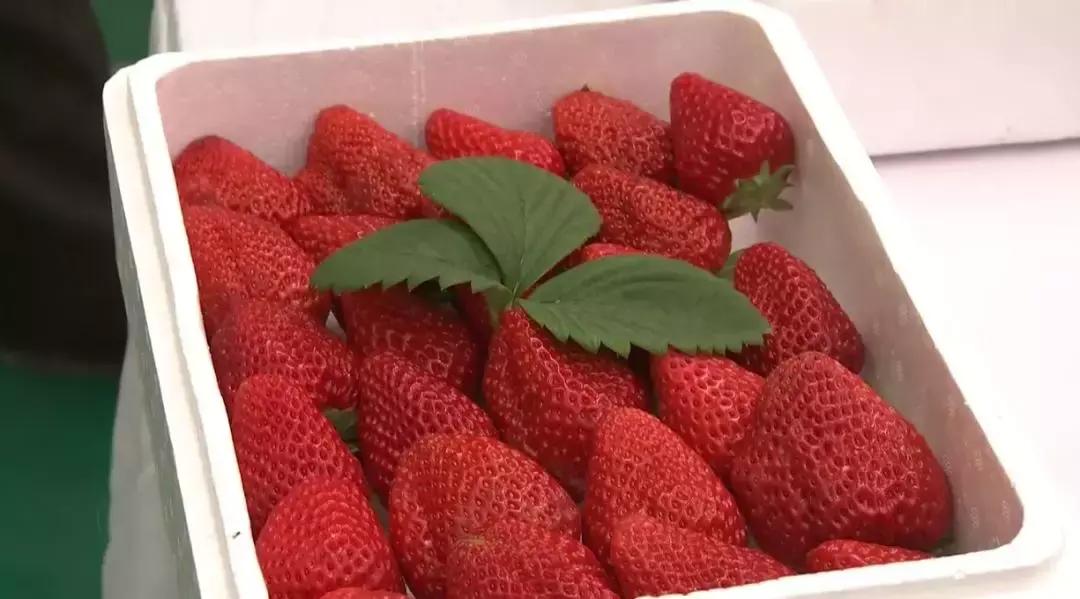 天津旅游滨海新区美食,天津滨海美食推荐