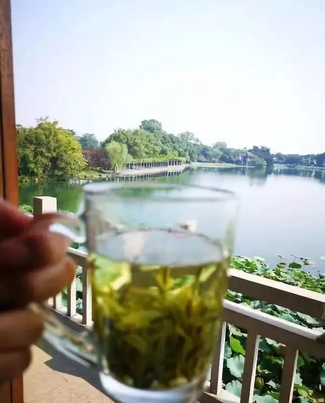 花港一楼茶楼,花港公园一元早茶