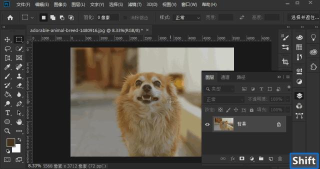 photoshop快捷键大全图解,photoshop快捷键对照表格大全