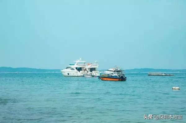 深圳免费的景点有哪些地方,深圳有哪些免费又好玩的地方景点