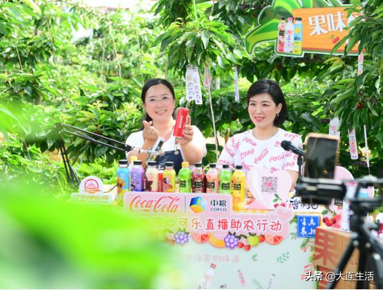 中粮可口可乐黑龙江直播间,中粮可口可乐辽宁直播