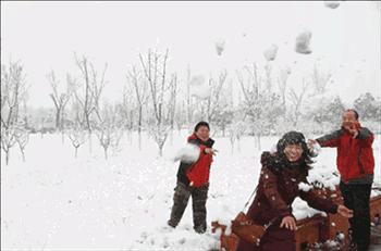 南方人冬至吃什么水饺,冬至吃饺子吃什么食物