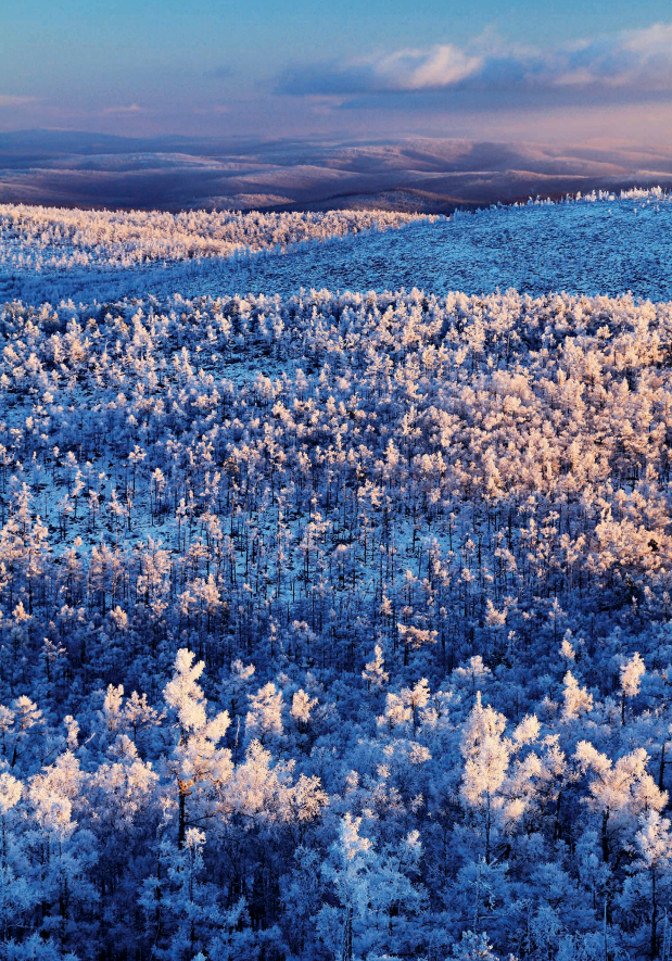 林草知识普及,林草科普讲解