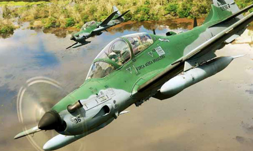 亚马逊雨林十大最凶猛的鸟,棕色巨嘴鸟