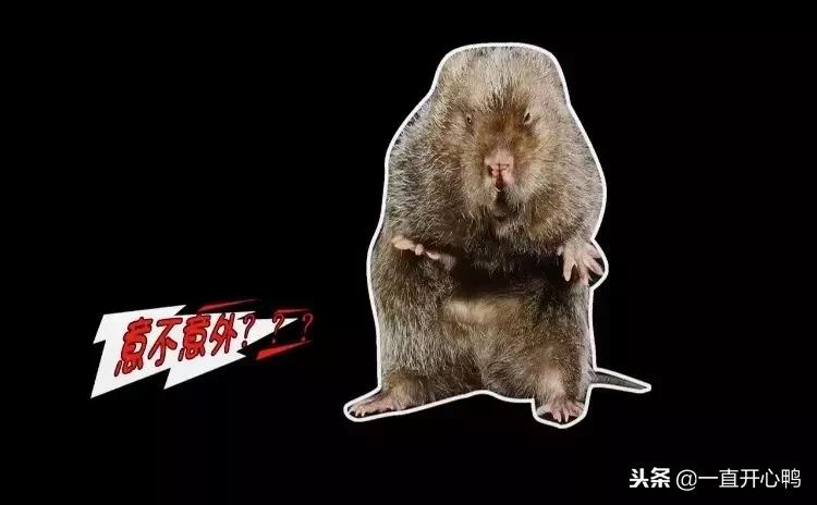 致富经节目现在怎么样了,致富经里的节目真实吗