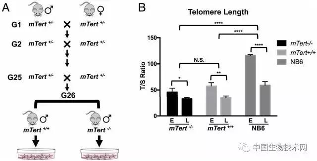 亦敌亦友相互成就,亦敌亦友化解之道