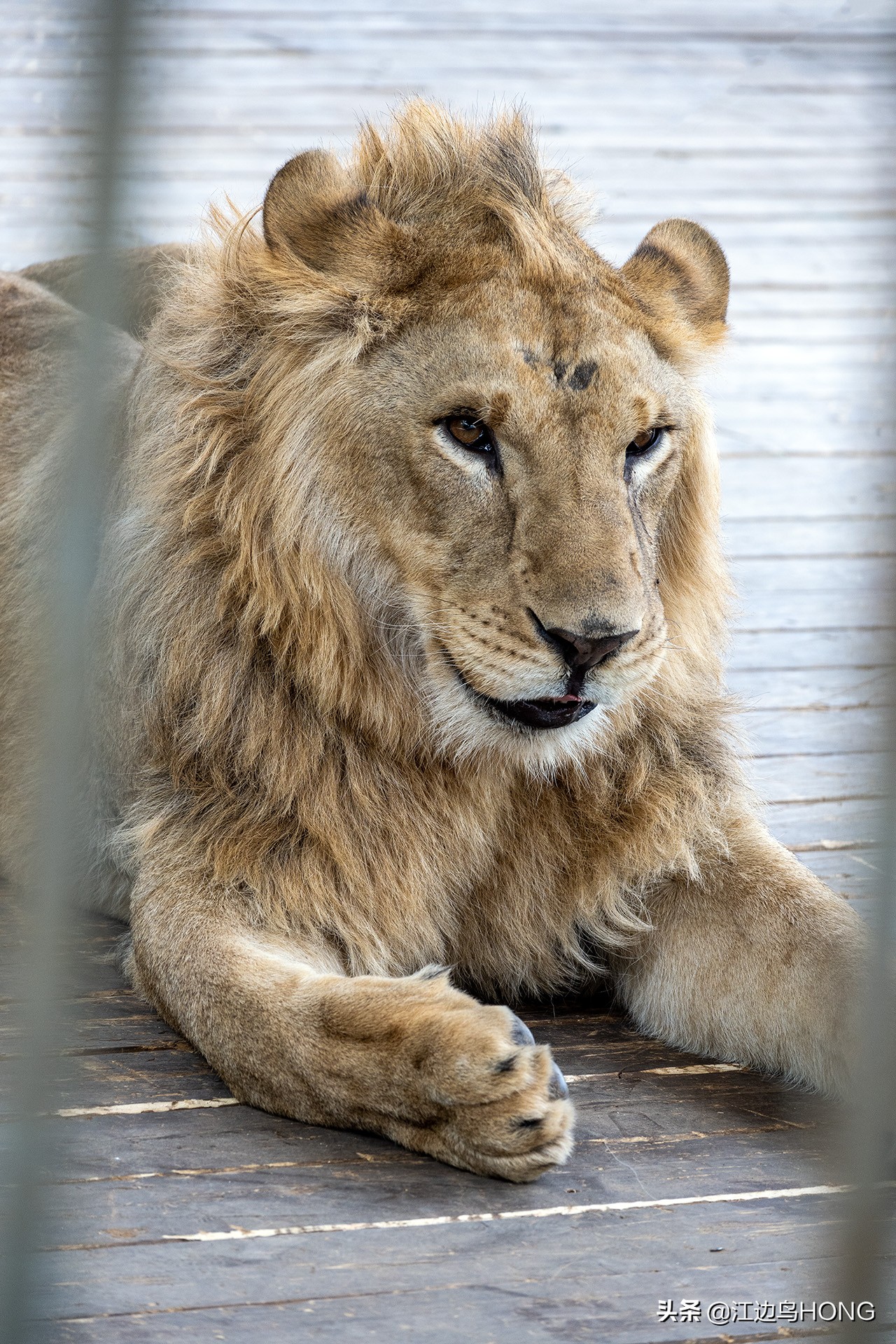 尼康z50双头套机价格,尼康z套机最低价7849