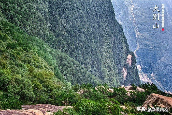 不输黄山迎客松的迎客松,不输黄山的景点