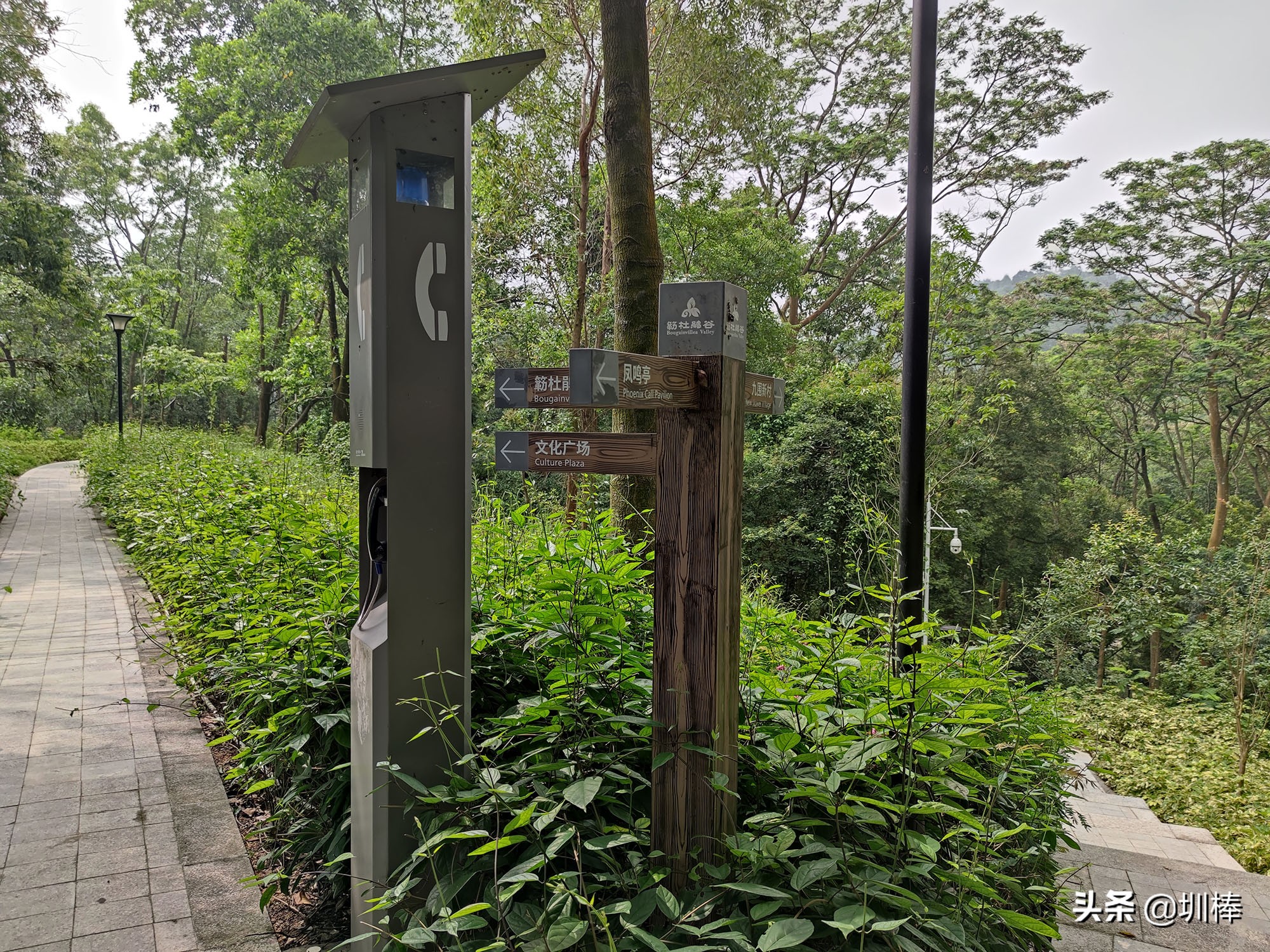 深圳最长的海岸线爬山攻略,凤凰山适合老人孩子的爬山攻略
