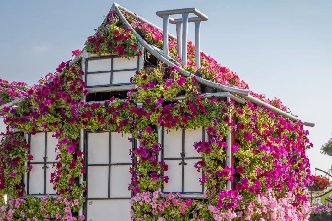 靠捡垃圾成了千亿富翁完整版,捡垃圾变成百万富翁