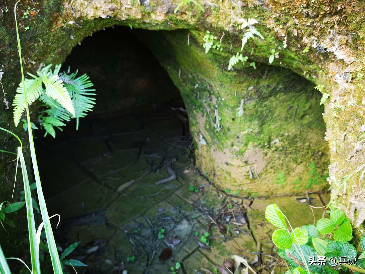 老山前线三个战士炮击阵地,老山战役炮击敌人阵地露头就打