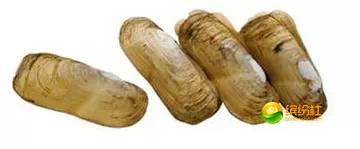 舟山海鲜攻略2天1晚住宿自由行,舟山最好的海鲜