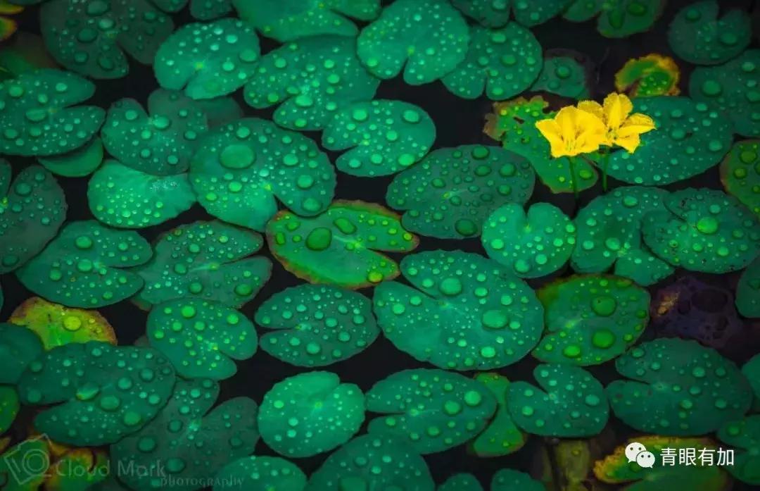 和当过“小三”的几个剩女做闺蜜是种什么体验？