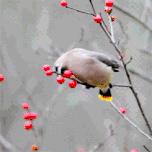 宫寒体寒痛经妹子的福音,女生痛经严重中医推荐