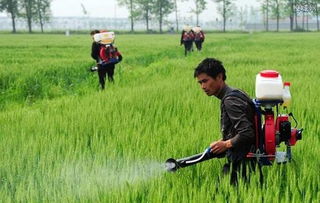 近日，国家市场监管总局发布《关于10批次食品不合格情况的通告》快来看一看，不要购买或者停用该类产品