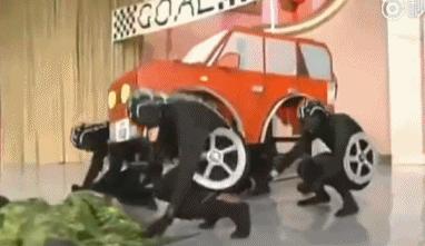 豆瓣9.5，我心目中最好的综艺，是岛国拍的