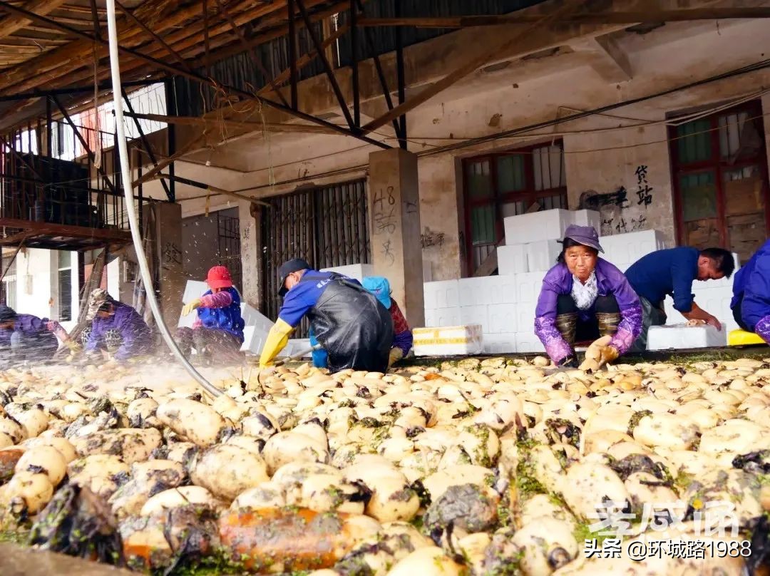 未来可期！向你展现不一样的毛陈