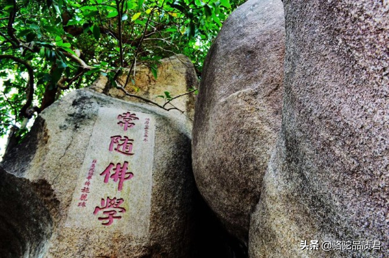 厦门海边之旅,厦门小众旅游体验