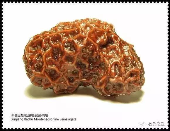 捡石头的注意了这十种石头别瞎捡,捡到石头千万不要扔掉