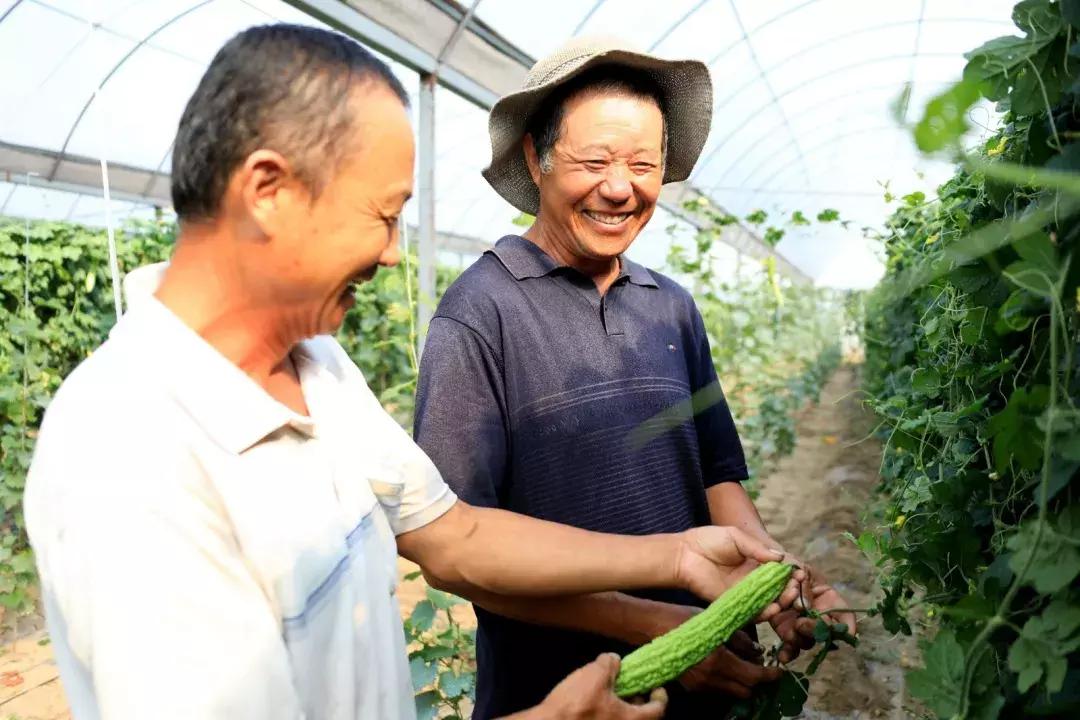 【超燃来袭】武清：70张笑脸，用稳稳的幸福，致敬可爱的祖国！