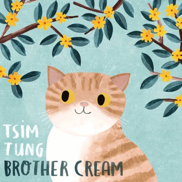 姑娘1天画1只猫坚持了100天 (坚持画猫100天的姑娘太有才了)